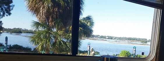 Looking out the window