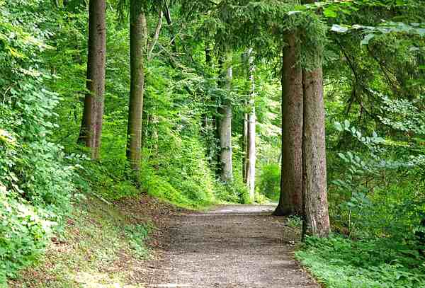 The Difference Between Hiking and Walking