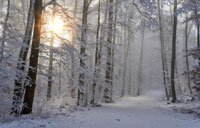 My RV shouldn&##x27;t see snow