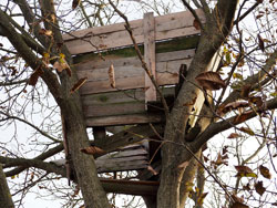 Did you build forts when you were a kid&##x3f;