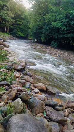 The river behind my motorhome.