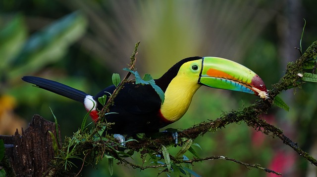 What&##x27;s it like to Live in Costa Rica&##x3f;