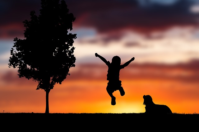 Kids, dogs, and the coronavirus
