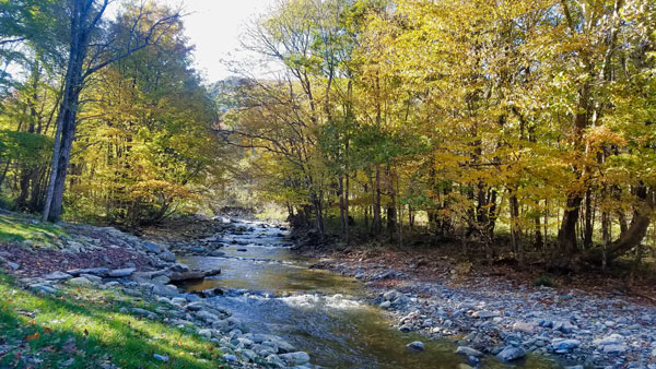 Grandfather Campground in Banner Elk, NC &##x28;near Boone, NC&##x29;