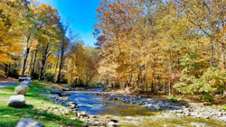 The river view beside my hiking trail.