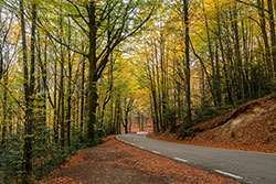 Is the open road calling you&##x3f;