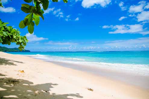 A walk on the beach