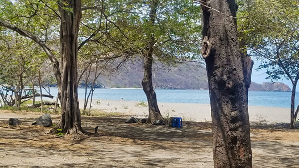 A walk on the beach