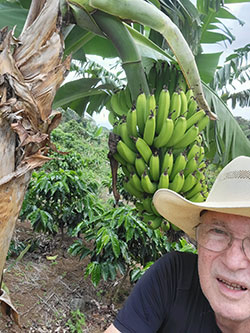 Hiking among coffee and bananas