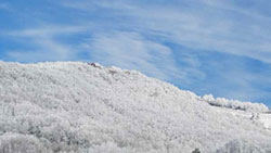 Ice on a mountain in Banner Elk, NC