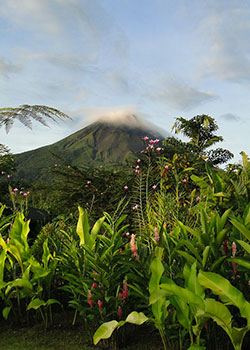 Living in the jungle can be relaxing