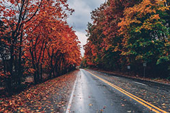 Enjoy life in the slow lane