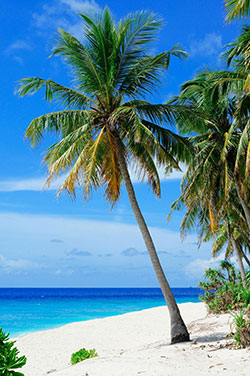 I&##x27;m moving to Costa Rica to live full-time