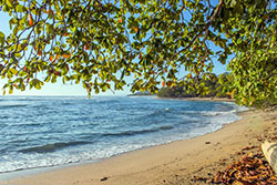 A relaxing beach in Costa Rica