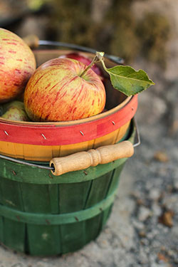 Having a bucket of apples is probably not on your bucket list
