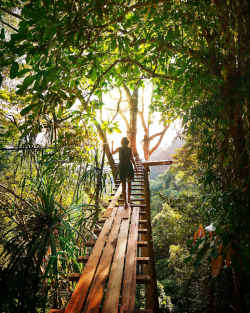 Hiking in Nature