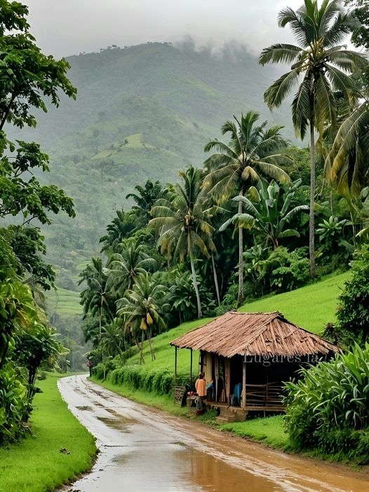 A bus stop in Costa Rica during the rainy season