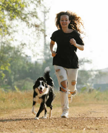Jog with your dog and you&##x27;ll both be happy