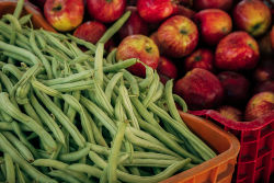 Fresh green beans are the way to go