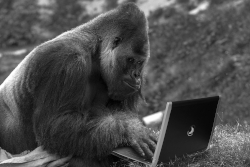 If he can write his book, what are you waiting for&##x3f;
